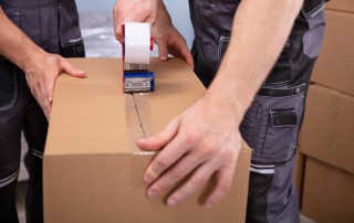 Professional Packers and Movers