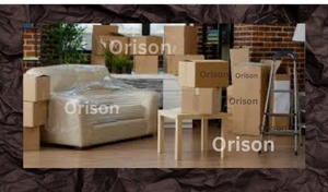 Orison Movers and Packers team provides safe and reliable local house shifting services